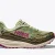 Seed Green / Beet Root